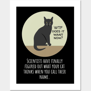 Why Does Your Cat Ignore You When You Call Their Name? Posters and Art